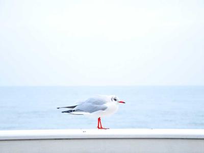 足球趣闻